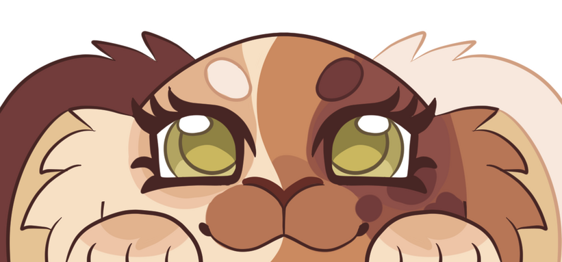 Peek Ych